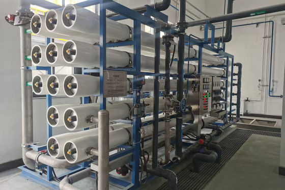 購入 産業用単段ロシステム 水フィルター 食品・製薬産業 オンライン製造